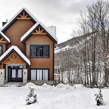 Chalet 30 Chemin Des Skieurs By Chalets Alpins 斯托纳姆 外观 照片