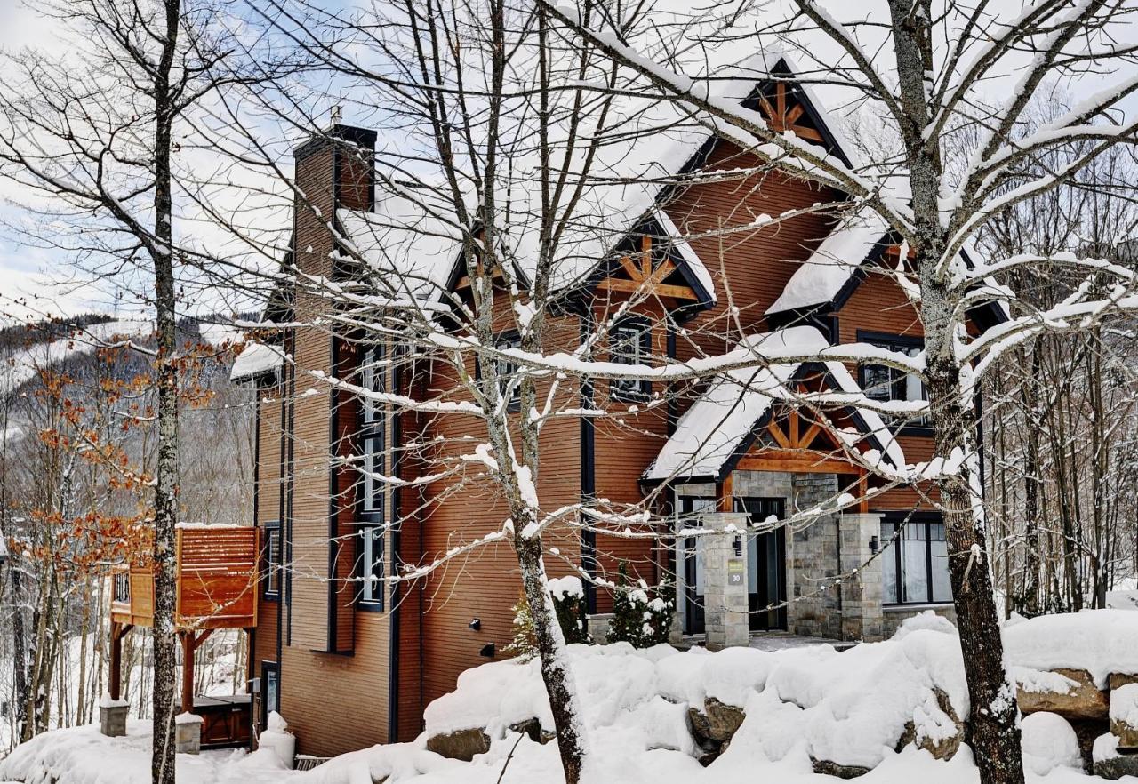 Chalet 30 Chemin Des Skieurs By Chalets Alpins 斯托纳姆 外观 照片